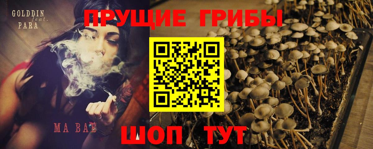 Ярославль  Псилоцибиновые грибы GOLDEN TEACHER  Вход с VPN 