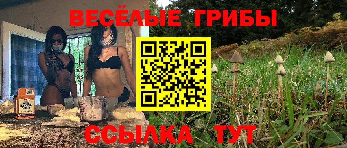 Галлюциногенные грибы Magic Shrooms Ярославль